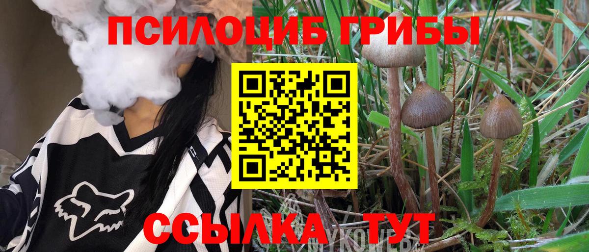 Псилоцибиновые грибы мицелий Касимов
